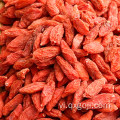 AD sấy quả goji đỏ trái cây wolfberries